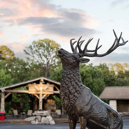 Stonegate Lodge W Pool & Outdoor Firepits Room #201 Eureka Springs Exterior foto